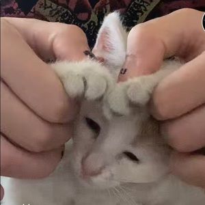 Meet your Posher, Mari